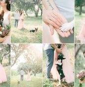 Amee Cheung Photography