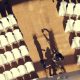 Dino W Video