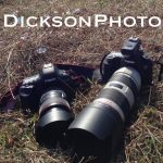 DicksonPhoto