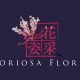 Gloriosa Florist