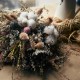 Splendorgrass Florist