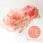 Moei Sugar Art