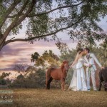 Professional team with Amazing shots – Billy ONAIR Photography