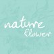 Nature Flowers