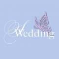 S Wedding