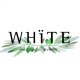White Bridal Salon