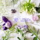 Misty Garden – 嵐花園
