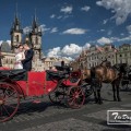 The Day Wedding
