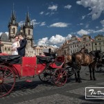 The Day Wedding