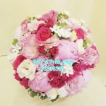 秋子 & Pretty Page