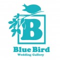 Blue Bird Wedding Gallery