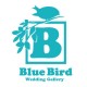 Blue Bird Wedding Gallery