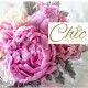 CHIC Florist