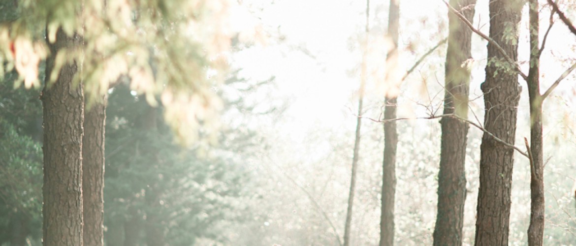 Cathy and Alvin’s Hong Kong Engagement Portrait