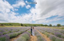 [MOMENTSHARE] VIVIEN & ANDY’S PRE-WEDDING