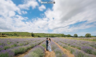 [MOMENTSHARE] VIVIEN & ANDY’S PRE-WEDDING
