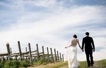 Napa Valley – Samantha & Mike