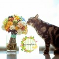 Mystery Florist
