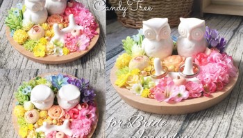 彩虹森林x貓頭鷹Ring Dish