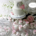 Congratulations Zoie & Chris