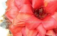 Bombax Bouquet 紅棉花球