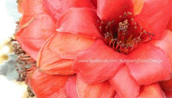Bombax Bouquet 紅棉花球