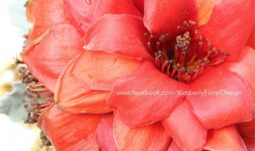 Bombax Bouquet 紅棉花球