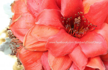Bombax Bouquet 紅棉花球