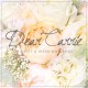 Dear Carrie Florist & Wedding Decor