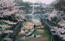 誰說雨天就不能拍婚照