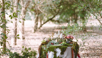 Alice in the wonderland inspired bridal portrait