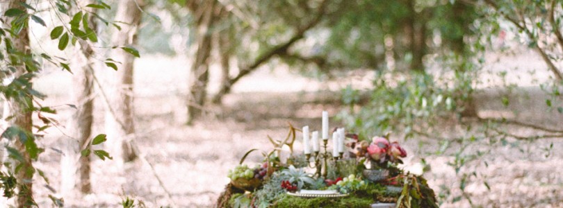 Alice in the wonderland inspired bridal portrait