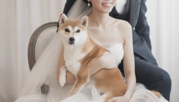 STUDIO PRE-WEDDING OF TWINKLE AND GEORGE