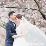 Pal Photography