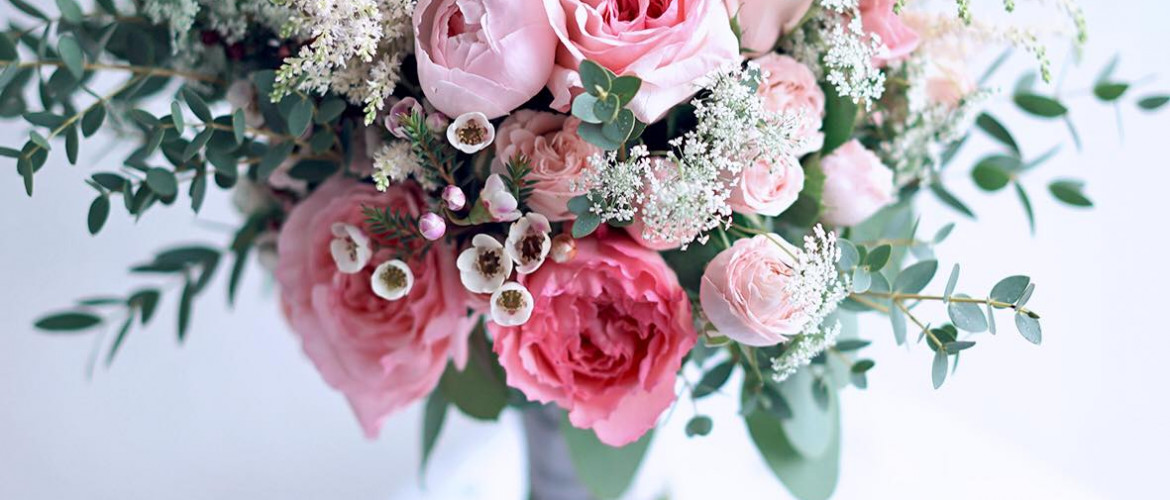 Mayra Pink Ruffles garden rose