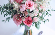 Mayra Pink Ruffles garden rose