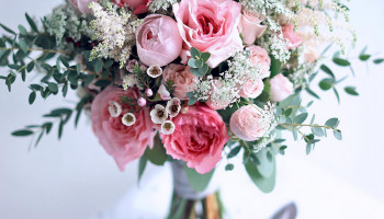 Mayra Pink Ruffles garden rose