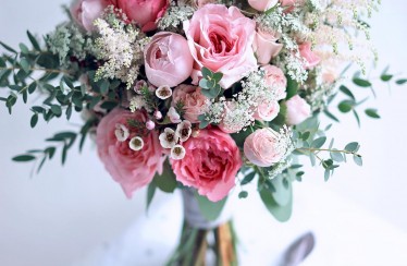 Mayra Pink Ruffles garden rose