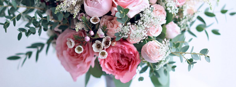 Mayra Pink Ruffles garden rose