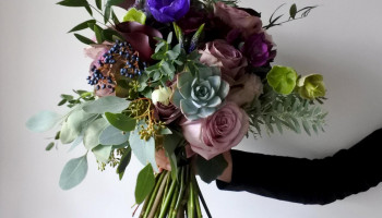 Purple and Plum colors for Yentl