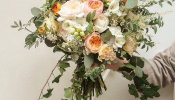The best palette for Spring