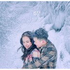 Iceland Engagement Portrait