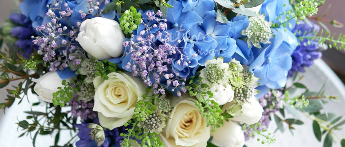 Blue x Cream White x Mini Green x Soft Purple