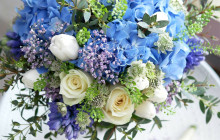 Blue x Cream White x Mini Green x Soft Purple