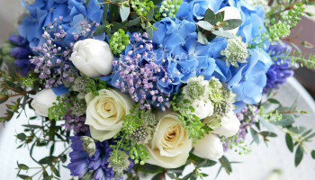Blue x Cream White x Mini Green x Soft Purple