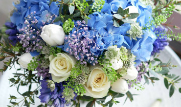 Blue x Cream White x Mini Green x Soft Purple