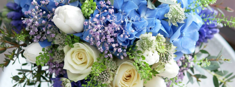 Blue x Cream White x Mini Green x Soft Purple
