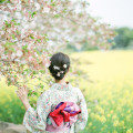 flower paradise