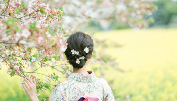 flower paradise