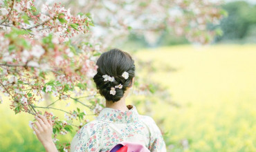 flower paradise